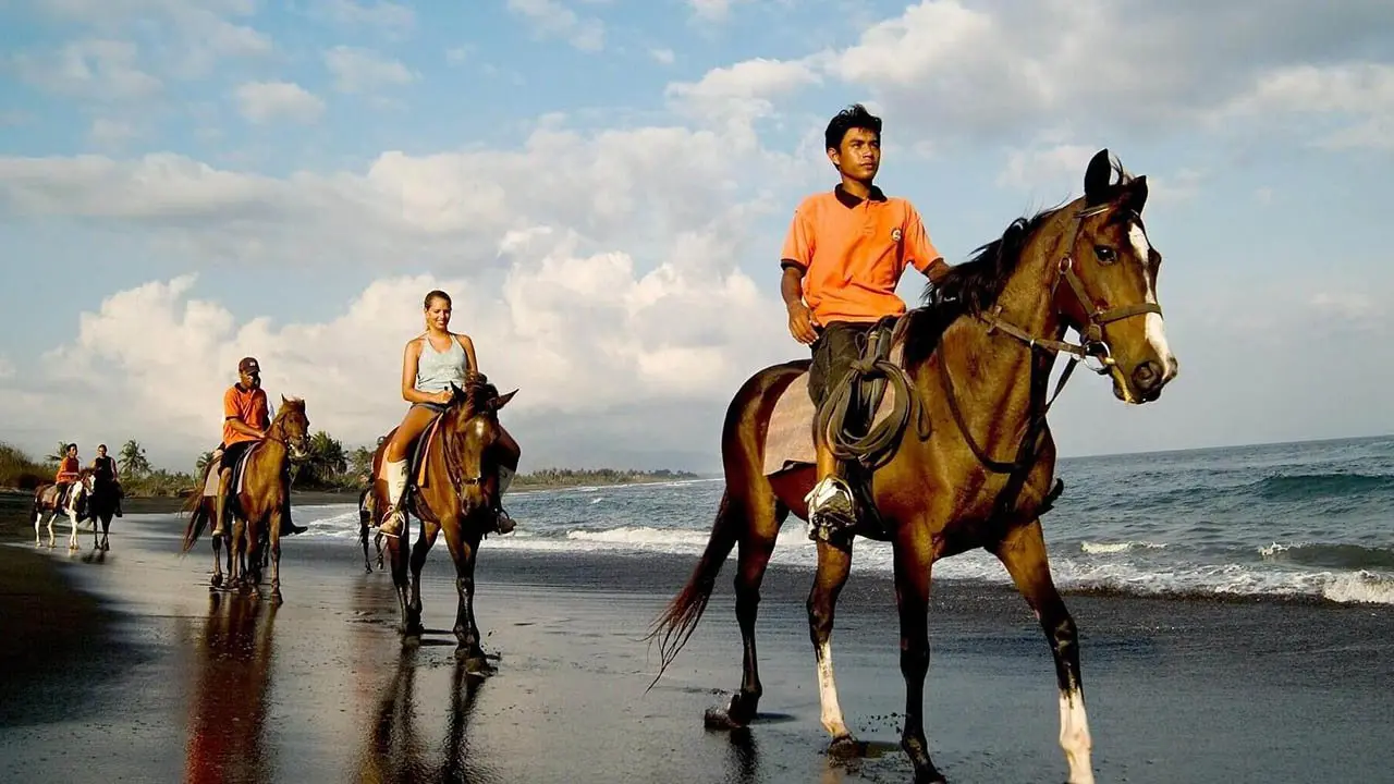 cali beach horse riding bigbrothers travel 004