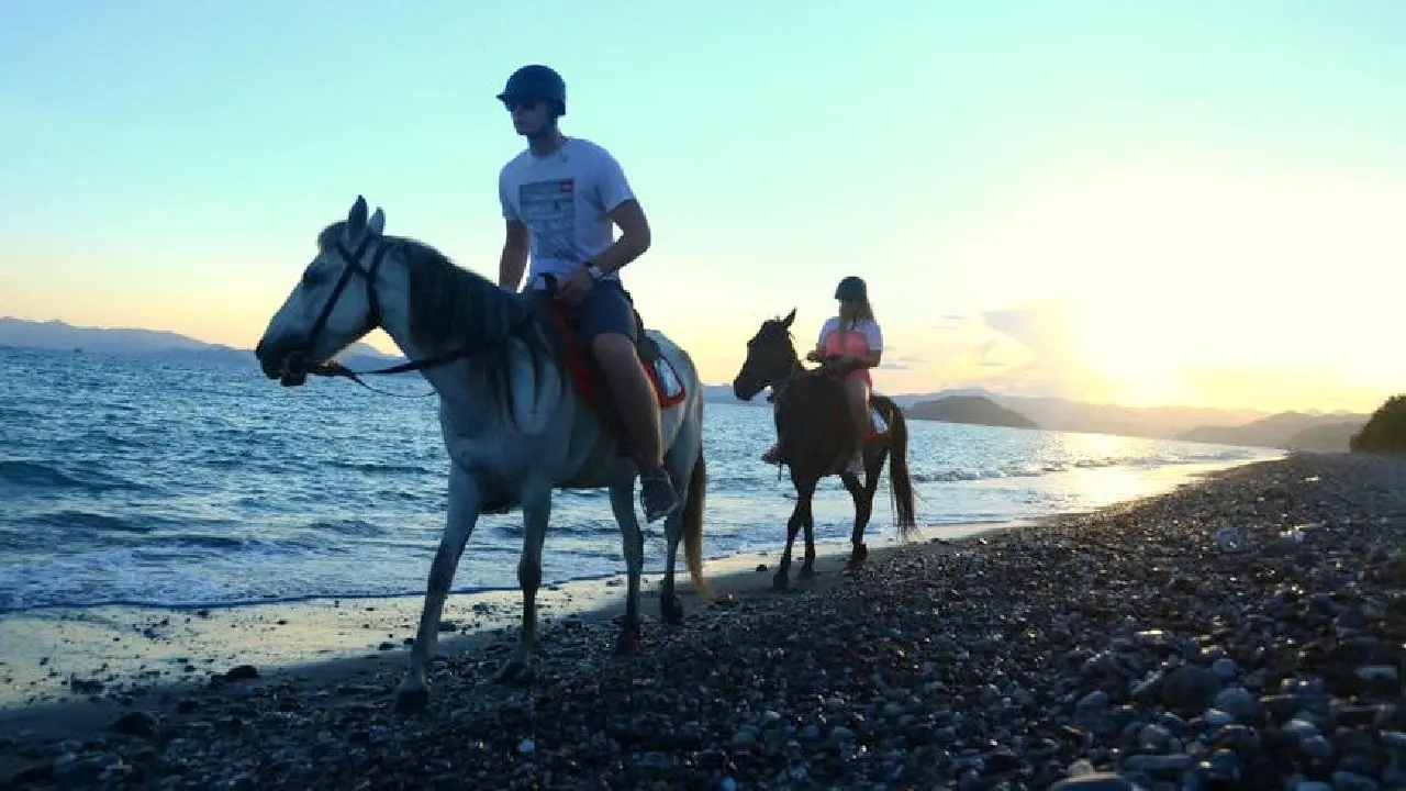 cali beach horse riding bigbrothers travel 007