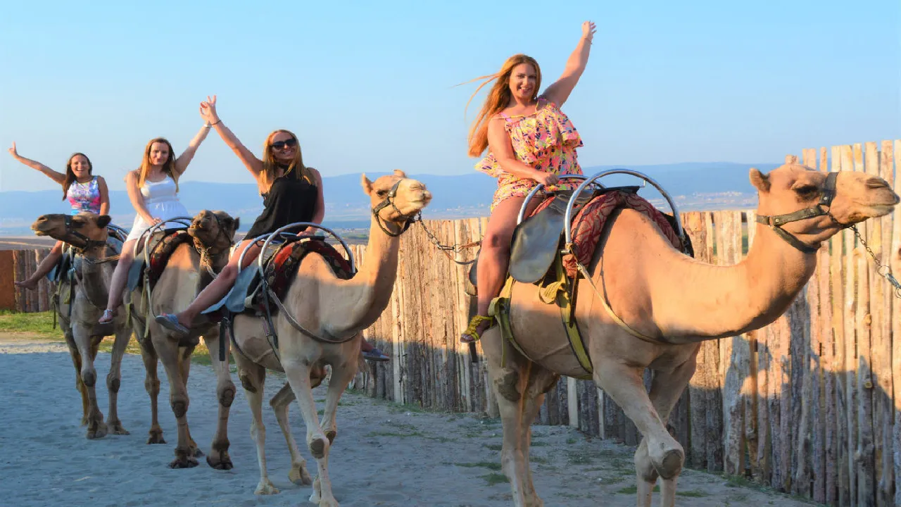 camel riding kayakoy bigbrothers travel 007